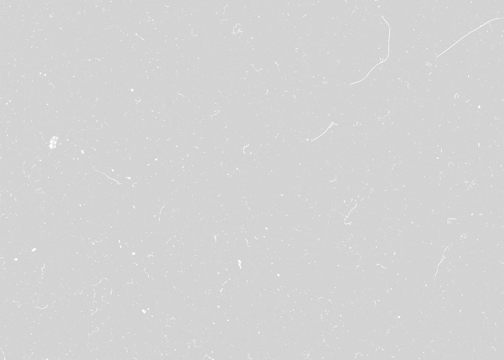 Бои в пустыне: как армия Сирии и иранские силы освобождали Восточный Хомс Бои в пустыне: как армия Сирии и иранские силы освобождали Восточный Хомс Весь мир