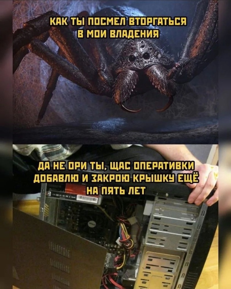 Перлы из фанфиков 60 позитив,смех,улыбки,юмор