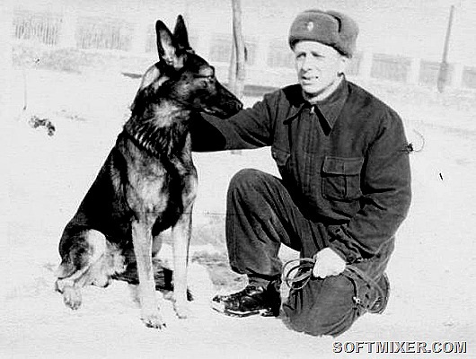 Почему Сталин не захотел принимать Парад Победы Почему Сталин не захотел принимать Парад Победы