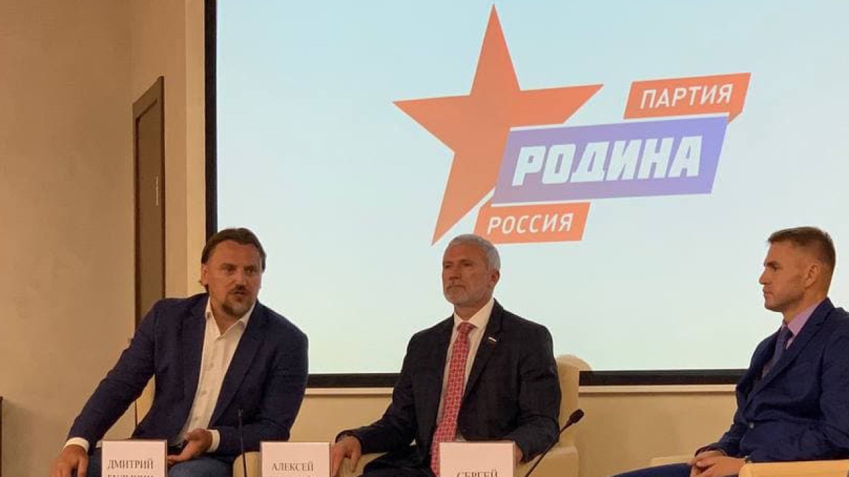 Нанимать юристов: политконсультант Милешкина оценила дальнейшие шаги партии «Родина» Общество