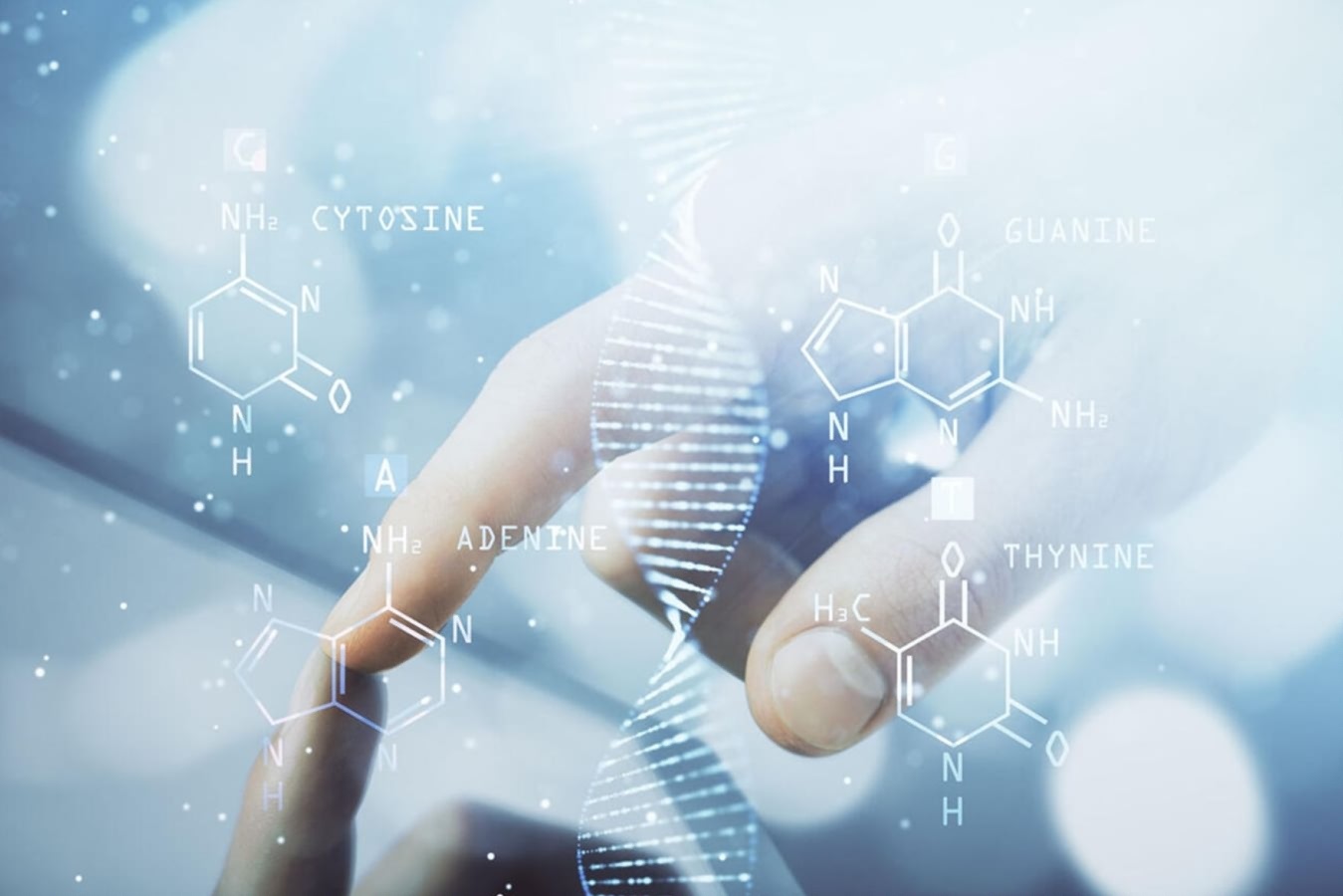 Screenshot_2025_09_15-18