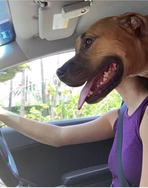 Подборка прикольных фото  (106 фото)