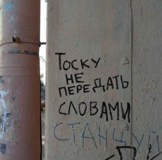 Прикольные надписи со стен