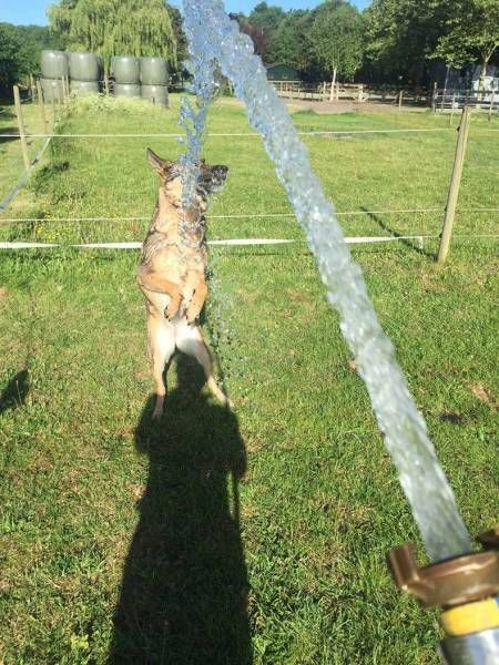 Классные картинки и прикольные фотографии для настроения 