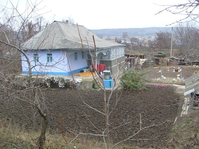 Приднестровье. Маленькая гордая страна Приднестровье. Маленькая гордая страна геополитика