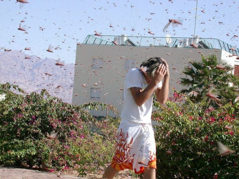 Ужасы природы, с которыми мало кто пожелал бы встретиться Ужасы природы, с которыми мало кто пожелал бы встретиться планета,природа