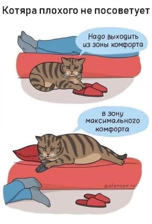 Прикольные картинки радуют всех Прикольные картинки радуют всех