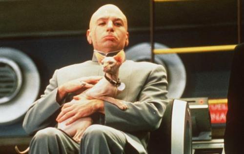 10 необычных кошачьих профессий 10 необычных кошачьих профессий животные