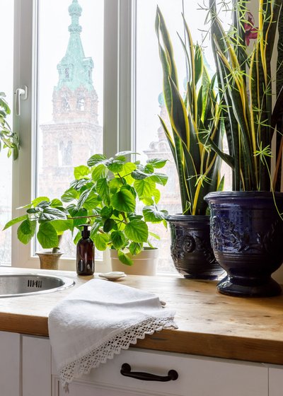 Кухня 10 кв.м в Краснодаре Кухня 10 кв.м в Краснодаре идеи для дома,интерьер и дизайн