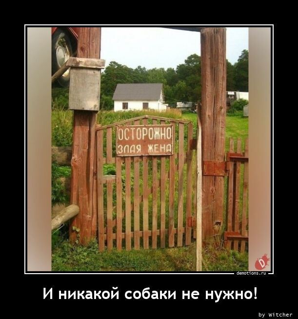 Ежедневная порция позитива и хорошего настроения! Ежедневная порция позитива и хорошего настроения!