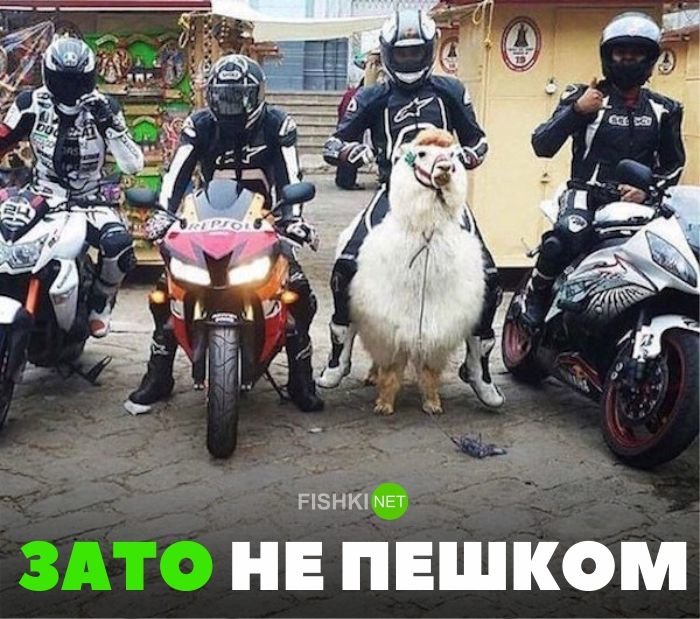 Утренняя подборка прикольных картинок №12 мото