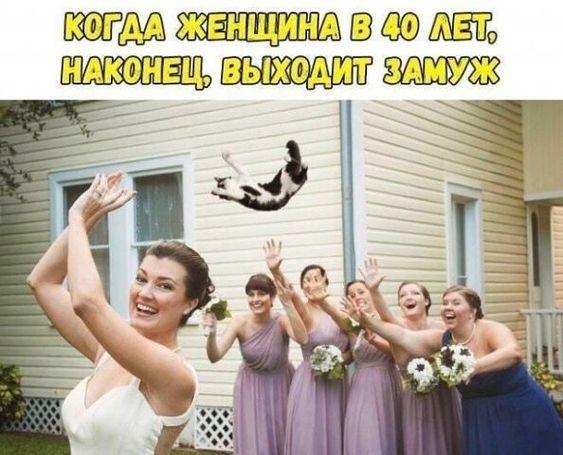 Шутки и приколы в свежей порции юмора Шутки и приколы в свежей порции юмора