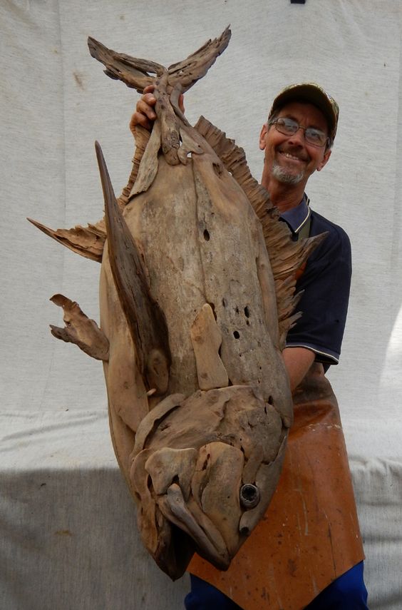Of all the commissions for fish sculptures, the GT is fast becoming the most popular. Each one is a bespoke One-off original, the different wood determines the final piece. Driftwood sculptures by Tony Fredriksson