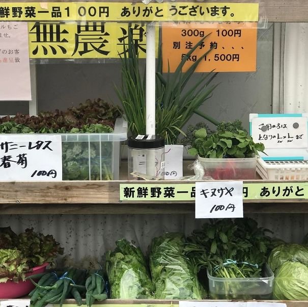 15 фото о том, что Япония не похожа ни на одну другую страну чтобы, можно, разные, убирать, поезде, японских, страны, цветам7, фонтан, показывает, Выбери, время8, Магазин, овощей, продукт, деньги, сажают, полях, специально, коробке9
