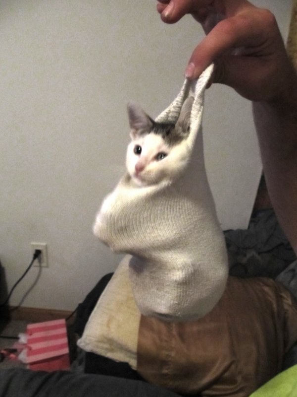 What is this soft bag you put me in?