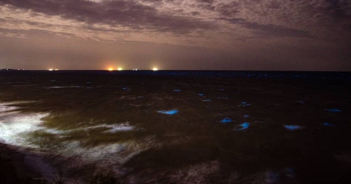 Как Одесса сама себя обстреливает украина