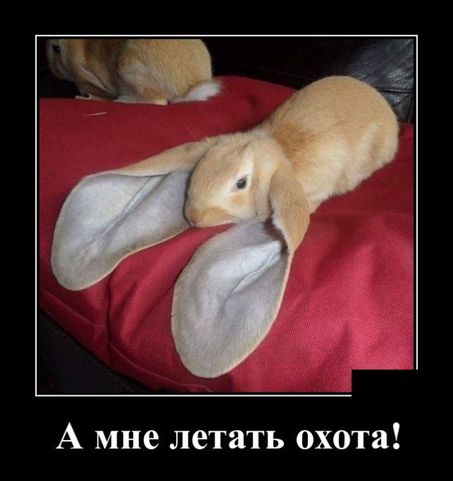 Очередная подборка прикольных и смешных демотиваторов 