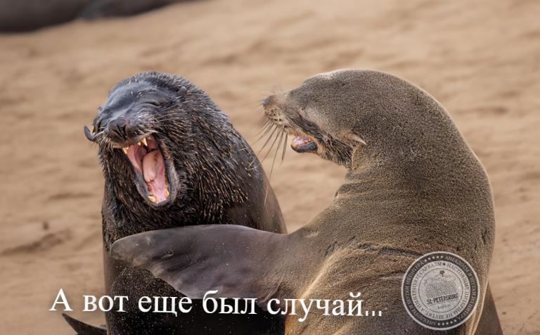 Был случай