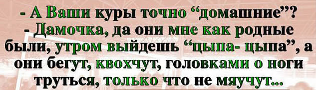 Ах, Одесса… Это уже классика! Или так… Встречаются два одессита 