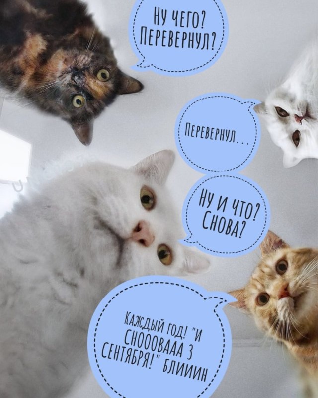 мемы про 3 сентября