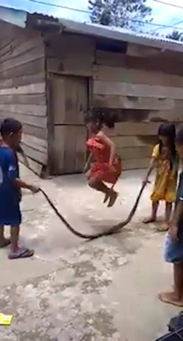 Вьетнамские дети прыгают через змею как через скакалку видео, посмеяться, очень, скакалку, змеями, малышей, играют, вьетнамские, всегда, момент, скакалки, становится, стороны, сразу, пользователи, отказывались, верить, существует, найдя, раскачивая