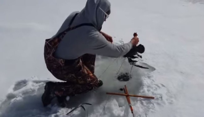 Рыбак очень удивился своему улову из проруби. Как могла утка попасть под лед?