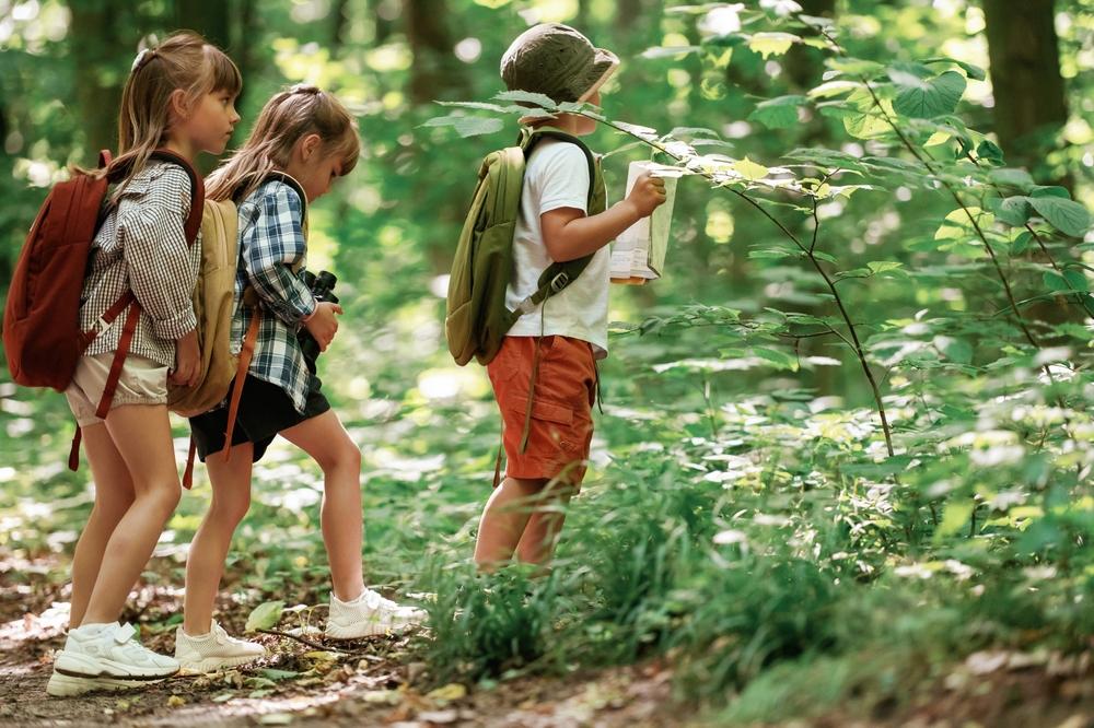 Что делать, если укусил клещ: алгоритм действий обработать, ДЕЙСТВИЙфото, укусила, обязательна, частично, иммуноглобулин, больницу, травмпункт, обращатьсяВ, АЛГОРИТМ, первые, землей, присыпать, клеща, Пироговского, Университета, всего, кровь, антисептиком, лучше