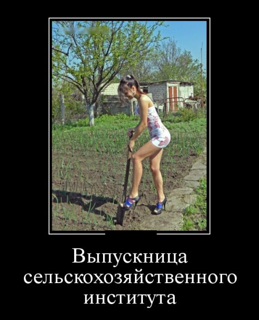 Веселые и забавные демотиваторы для хорошего настроения (11 фото)