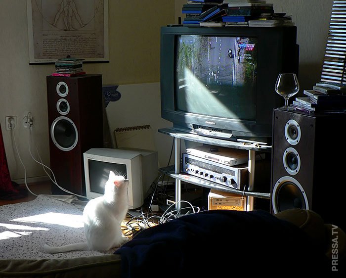 Интересные факты о Норвегии, которые вам, возможно, не известны Интересные факты о Норвегии, которые вам, возможно, не известны