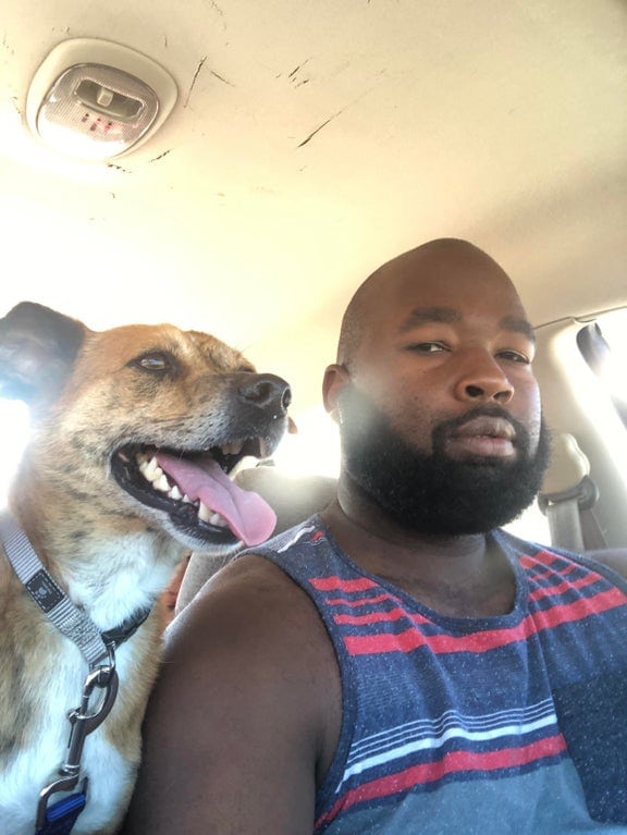 собака в машине