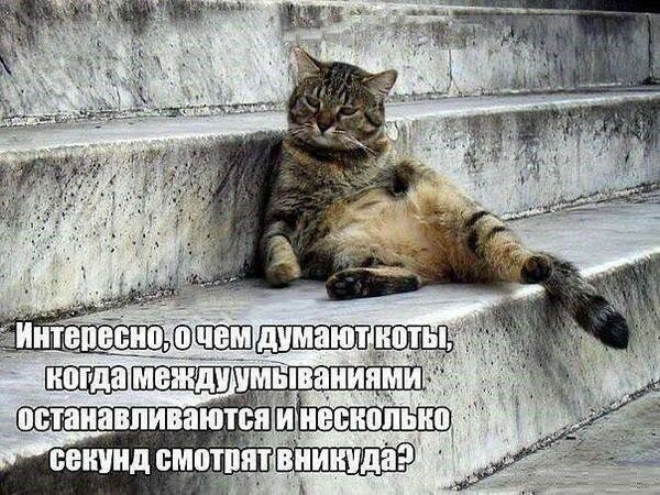 Картинки с надписями  