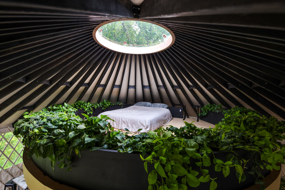 Семье не хватило денег на новую квартиру и они поселились в юрте. Через полгода обустройства жильцы показали интерьер Семье не хватило денег на новую квартиру и они поселились в юрте. Через полгода обустройства жильцы показали интерьер Культура