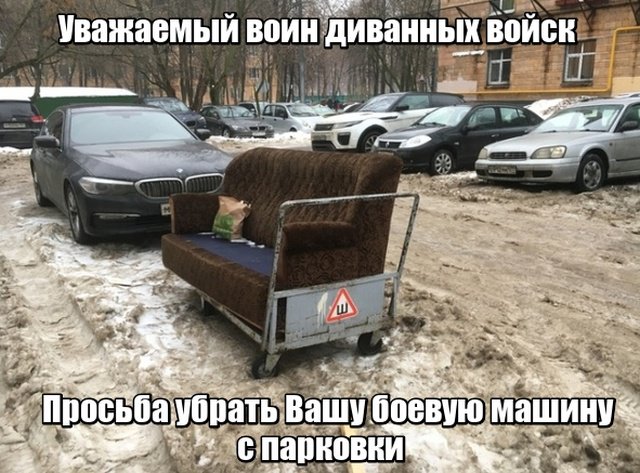 Фотоподборка среды 