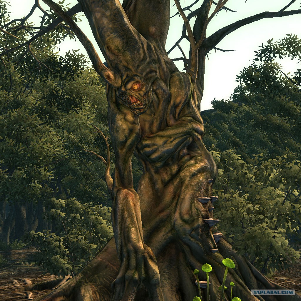 Ужасы природы, с которыми мало кто пожелал бы встретиться Ужасы природы, с которыми мало кто пожелал бы встретиться планета,природа