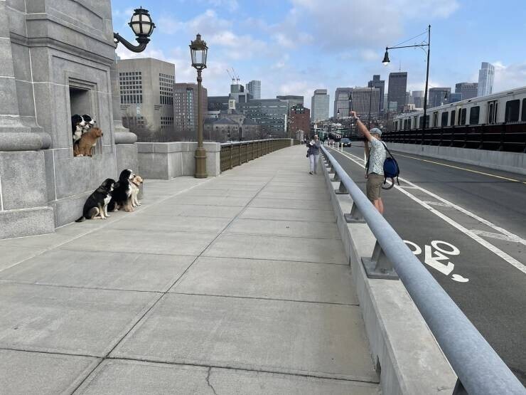 Фотография: 40 отборных картинок для того, чтобы немного отвлечься №19 - BigPicture.ru