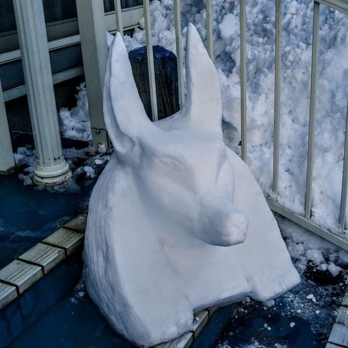 Heavy-Snow-Tokyo