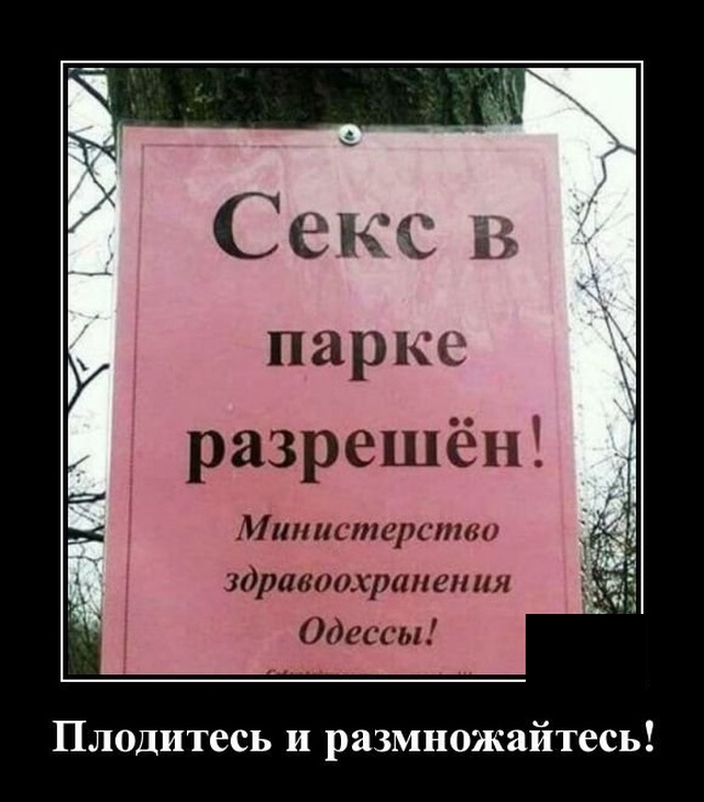 Лучше ездить на велосипеде на пляж чем на мерседесе на работу. Смотреть фото Лучше ездить на велосипеде на пляж чем на мерседесе на работу. Смотреть картинку Лучше ездить на велосипеде на пляж чем на мерседесе на работу. Картинка про Лучше ездить на велосипеде на пляж чем на мерседесе на работу. Фото Лучше ездить на велосипеде на пляж чем на мерседесе на работу