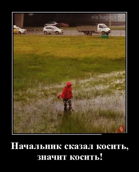 Новые демотиваторы и ненависть к будильникам Новые демотиваторы и ненависть к будильникам