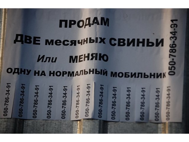Нафтогаз в прицеле. Что происходит в крупнейшей госмонополии Украины? Нафтогаз в прицеле. Что происходит в крупнейшей госмонополии Украины? украина