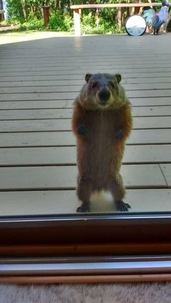 Подборка прикольных фото  (106 фото)