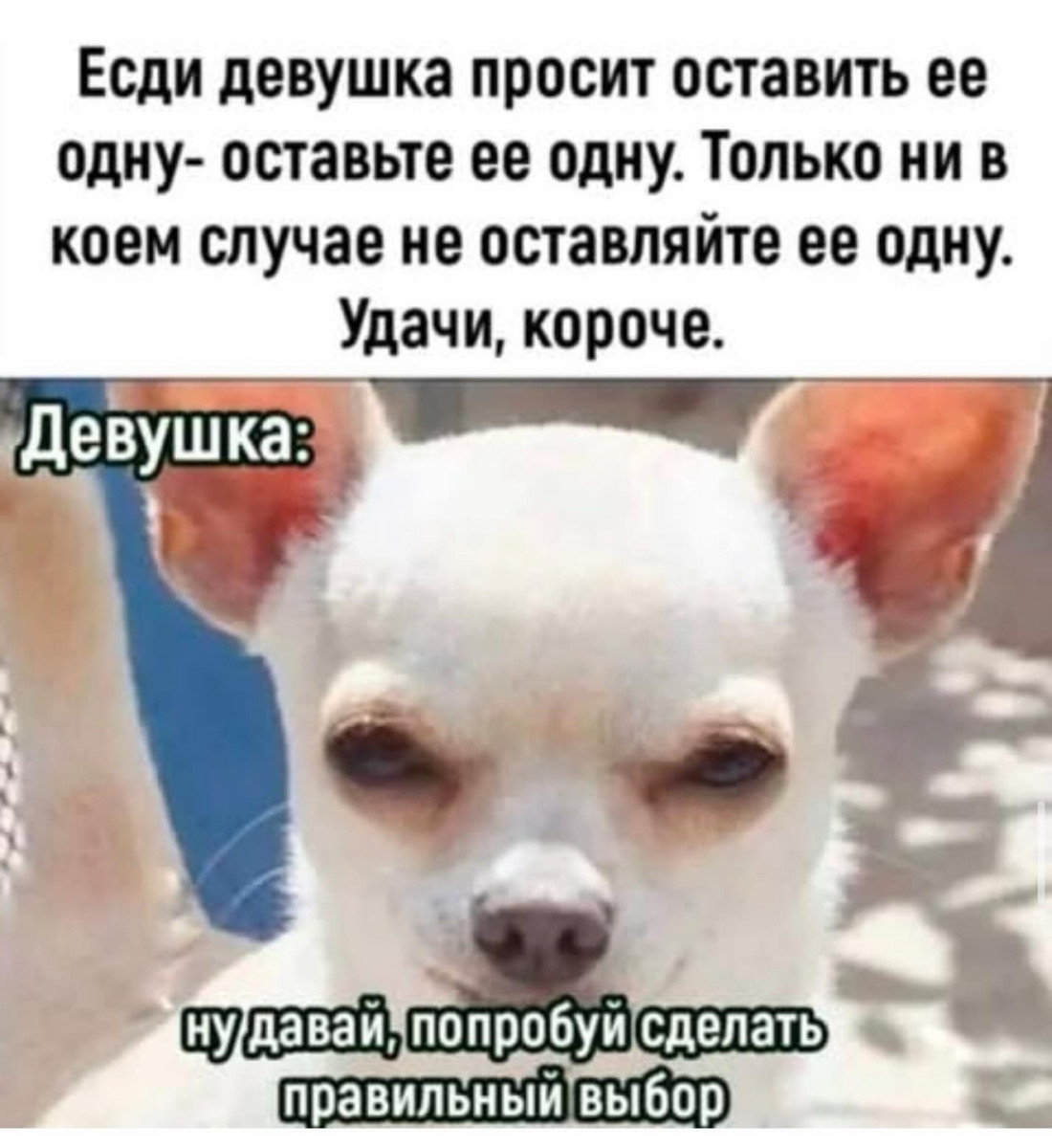 Юмор за день и свеча 