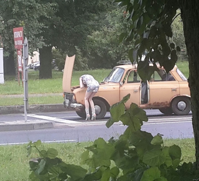 Фотоподборка пятницы на конец осени Фотоподборка пятницы на конец осени