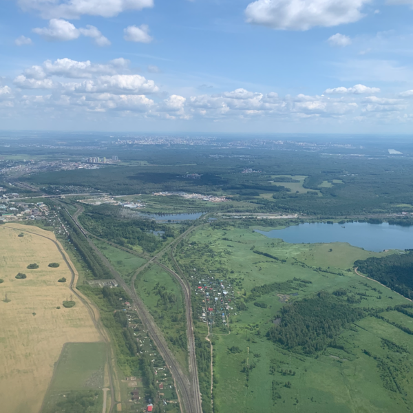 8 необычных растений с острова Крит 8 необычных растений с острова Крит интересное,природа,путешествия,растения