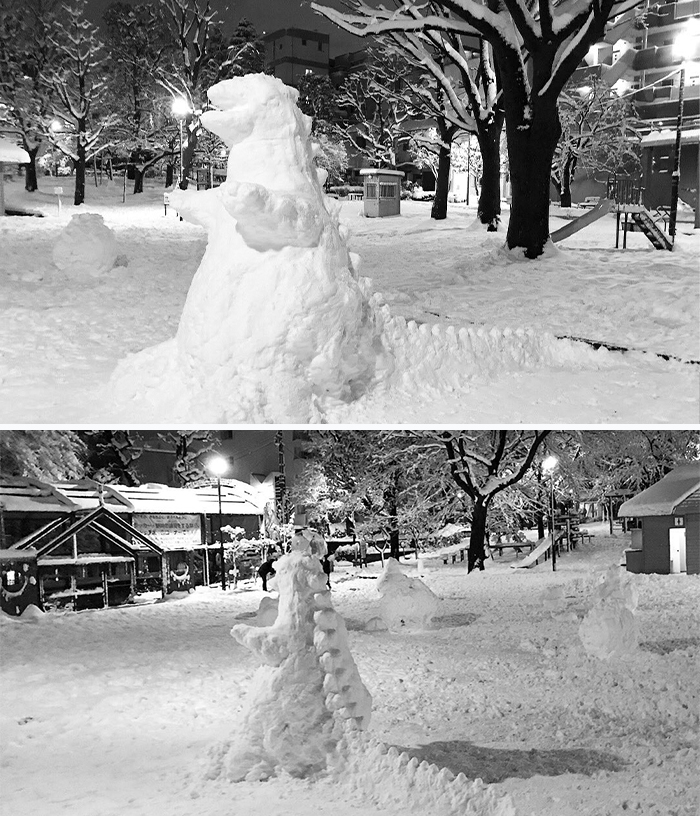 Heavy-Snow-Tokyo