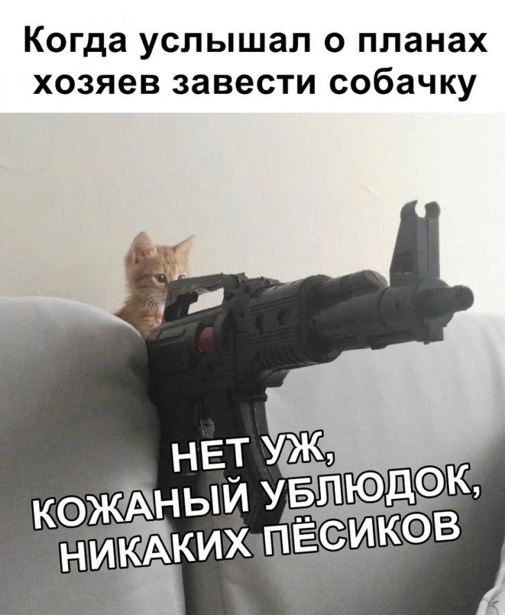 Свежие мемы 