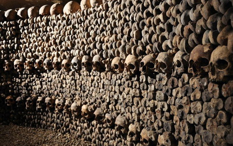 Культ черепа в истории человечества 