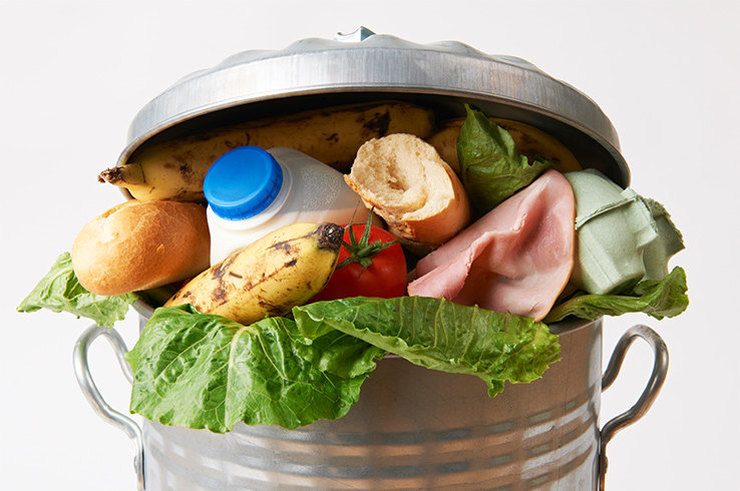 Как перестать кормить мусорку едой