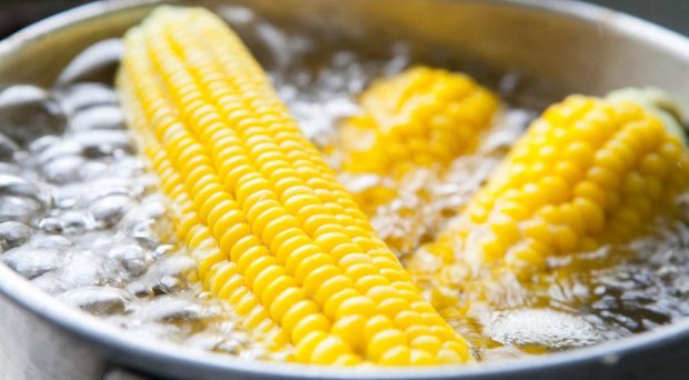 сколько варить кукурузу в початках
