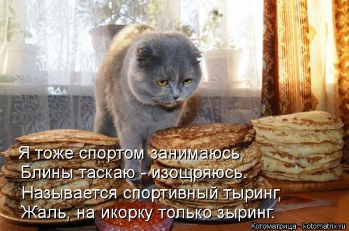 Новая котоматрица  