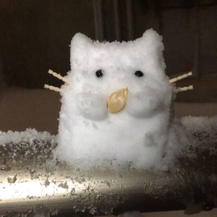 Heavy-Snow-Tokyo